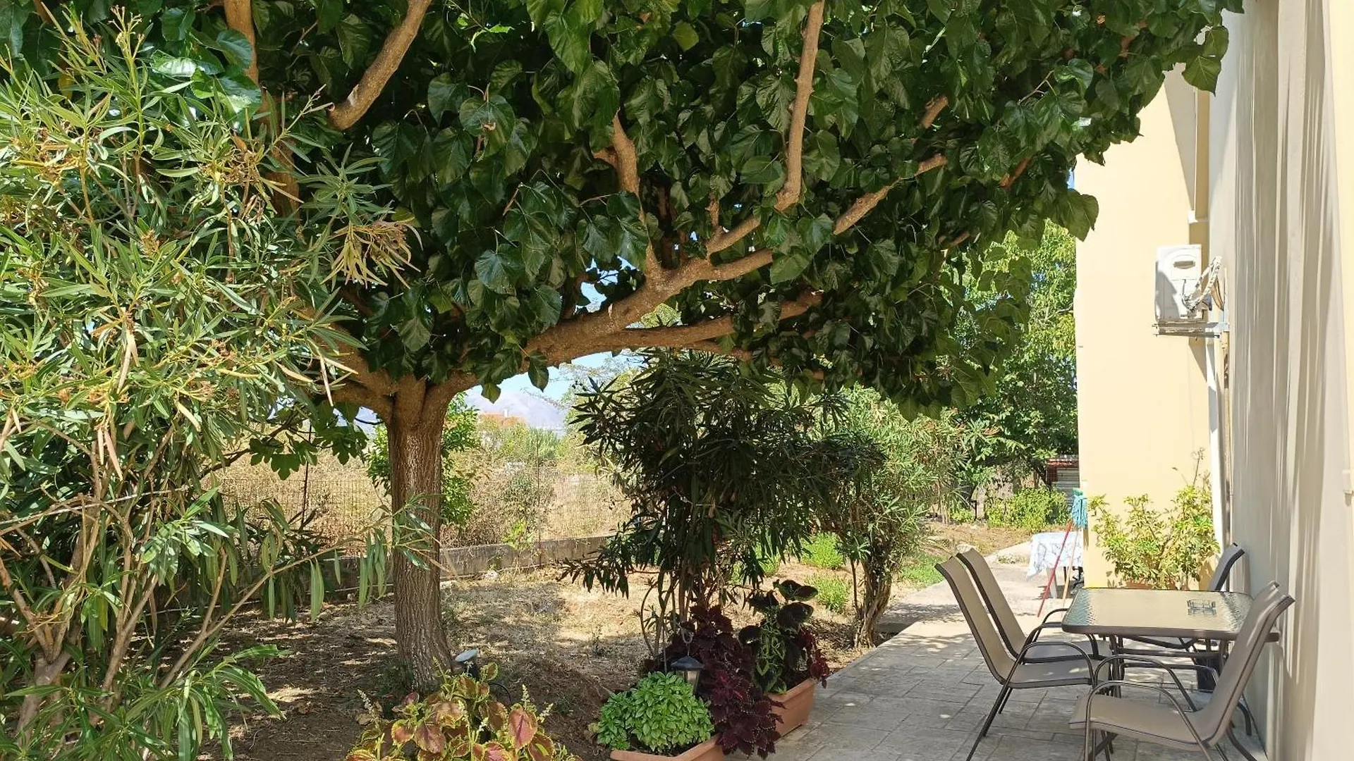 Apartamento Eirini- Ioanna Sami  Grecia